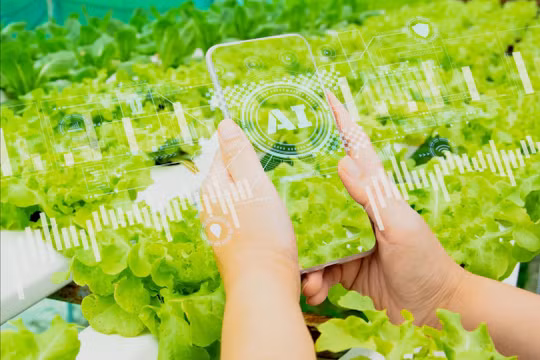 Nông dân Việt Nam được hỗ trợ ứng dụng AI vào sản xuất, thích ứng biến đổi khí hậu