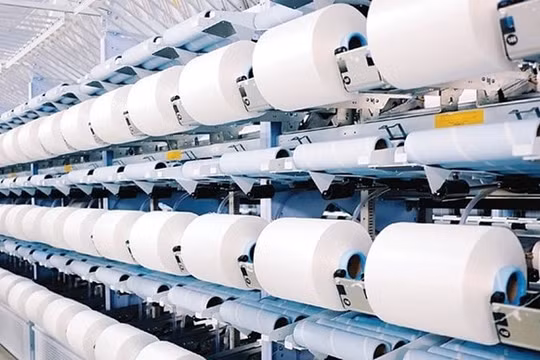 Đăng ký một đằng, thực hiện một nẻo, Sợi Thế Kỷ bị phạt 77,5 triệu đồng