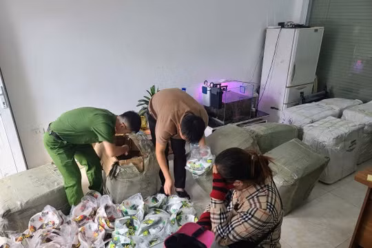 Triệt xóa đường dây tiêu thụ đồ chơi thể thao 'nhái' thương hiệu Việt