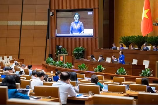 Tri thức dân gian về sâm Ngọc Linh là Di sản văn hóa phi vật thể quốc gia