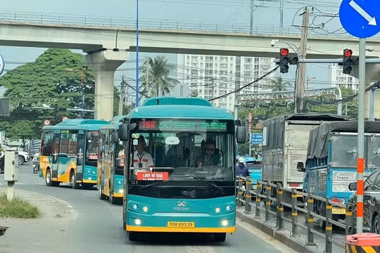 TP.HCM: Đưa vào khai thác 37 tuyến buýt mới, 50% phương tiện dùng năng lượng sạch
