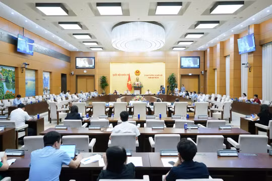 Không áp dụng thuế suất ưu đãi với công ty con để tránh trục lợi chính sách