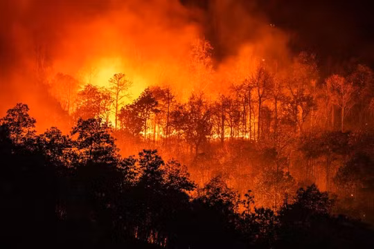 Thế giới sắp đón hiện tượng El Nino mạnh, khủng hoảng nhiên liệu thêm trầm trọng