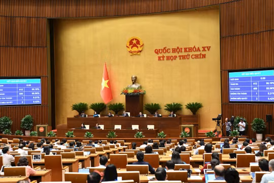 Để kịp thời xử lý vướng mắc, Chính phủ được ban hành nghị quyết điều chỉnh luật