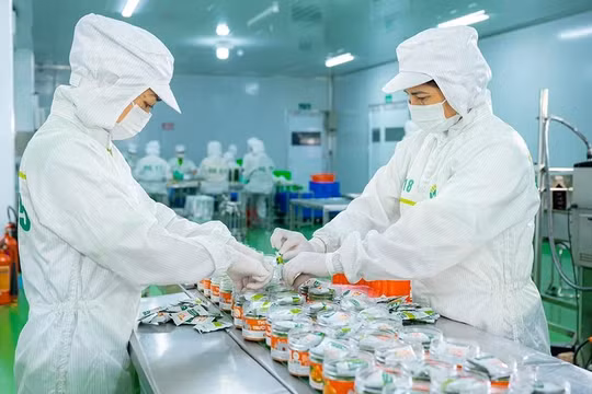 Phú Thọ: Xây dựng nông thôn mới dựa trên khoa học công nghệ, chuyển đổi số