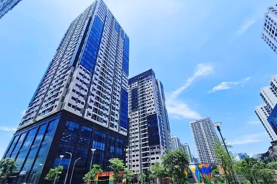 Dịch vụ vận hành chuyên nghiệp nâng tầm trải nghiệm sống ở chung cư
