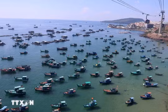 Gỡ “thẻ vàng” IUU: Mệnh lệnh quốc gia, vì danh dự đất nước, vì sinh kế ngư dân