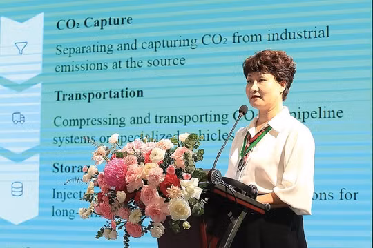 Tiến Sĩ Nguyễn Diệu Nương Petrovietnam đi đầu về công nghệ xanh CCS