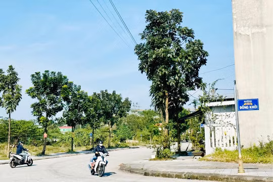 Dự báo thời tiết ngày 9/2: Nam Bộ không mưa, trưa chiều trời nắng