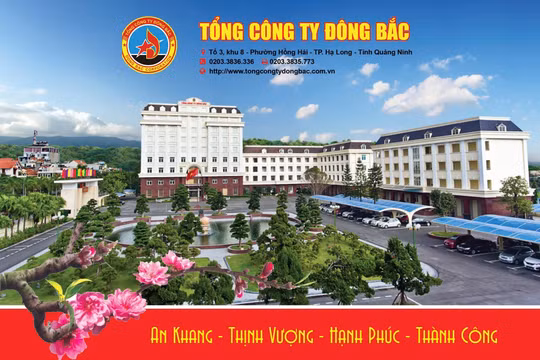 Tổng Công ty Đông Bắc: Trên 30 năm xây dựng và phát triển