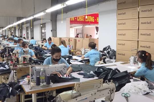 Thái Bình: Giải quyết việc làm cho 34.800 lao động trong năm 2024