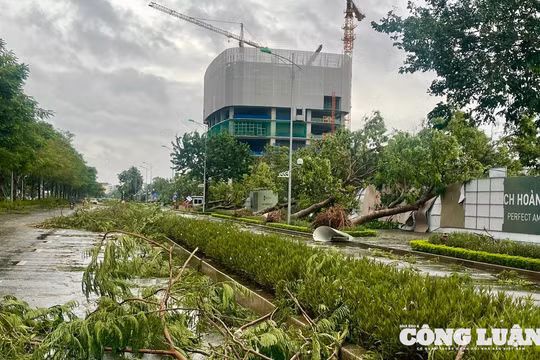 Hà Nội: Khuyến cáo bảo đảm an toàn trong mùa mưa bão