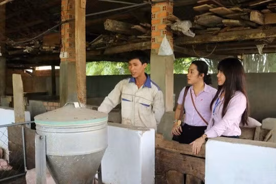 Vốn tín dụng chính sách giúp người dân Lâm Đồng phát triển kinh tế, vươn lên thoát nghèo