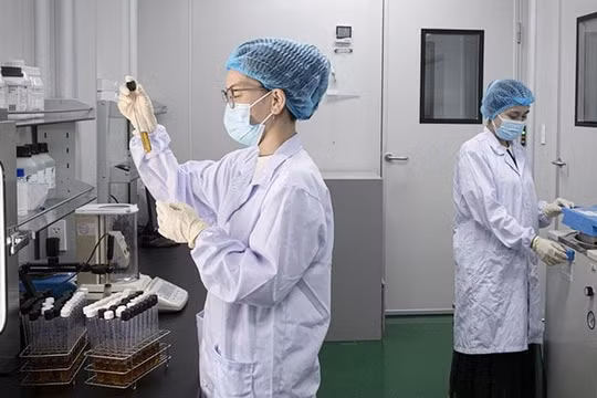 Chuyên gia khoa học, công nghệ, đổi mới sáng tạo và chuyển đổi số được hưởng nhiều chính sách đãi ngộ mới