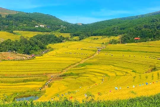 Phú Thọ tổ chức Lễ hội ruộng bậc thang Miền Đồi trong 2 ngày