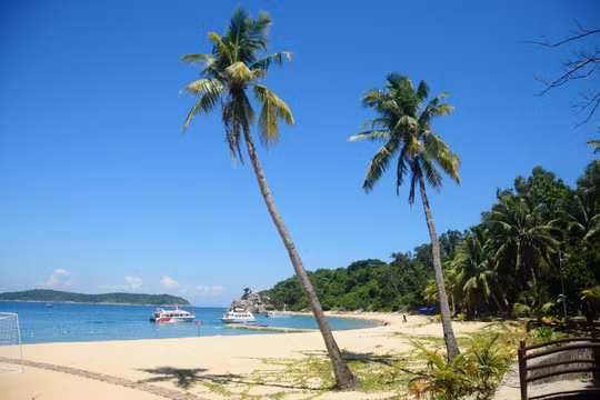 Phát huy vai trò của người làm báo trong việc truyền tải thông điệp bảo vệ môi trường