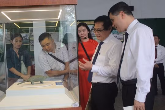 Tượng đồng tê tê Long Giao - đỉnh cao nghệ thuật luyện kim thời sơ kỳ đồ sắt