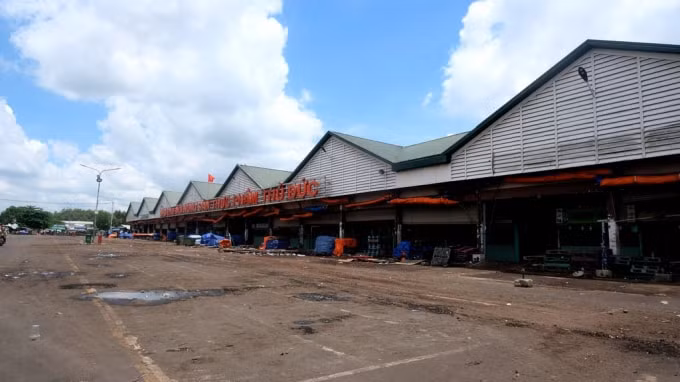Để chuẩn bị cho phương án mở trạm trung chuyển, 3 chợ đầu mối tại TP.HCM đã sẵn sàng sân bãi, nhân sự, lực lượng bảo vệ kiểm tra cũng như tổ chức xét nghiệm cho tiểu thương và lái xe tham gia hoạt động buôn bán.