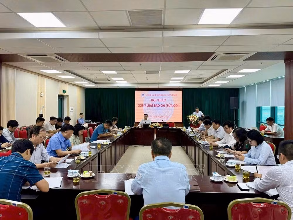 b1137d410cfcbfa2e6ed.jpg
