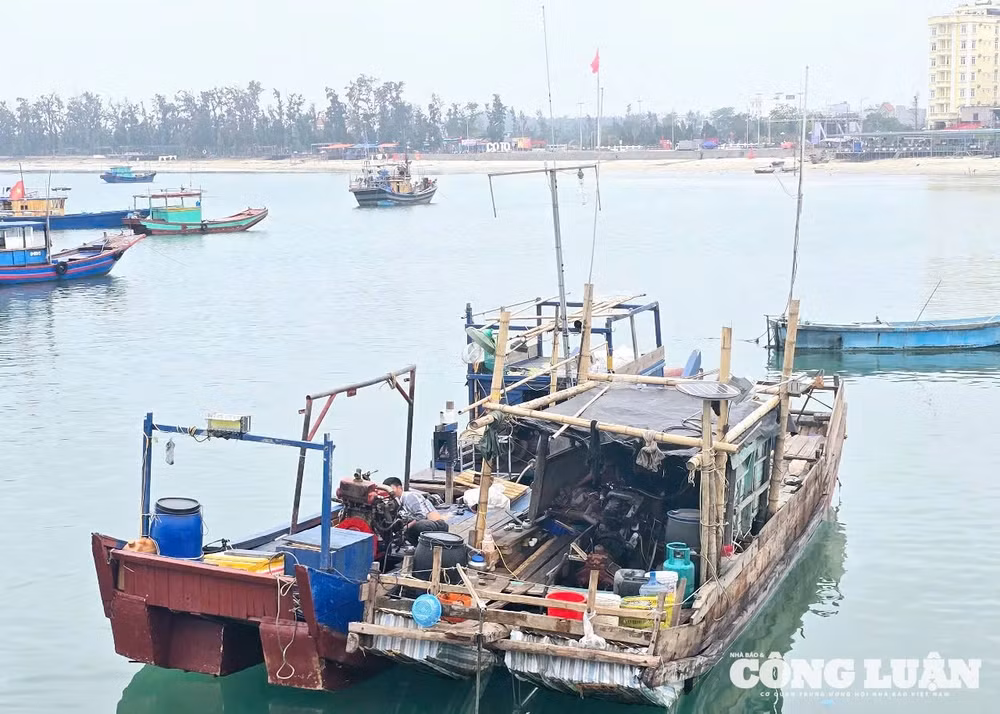 anh-9-co-to-noi-song-goi-mat-troi.jpg