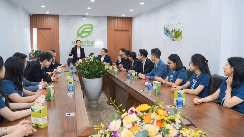 Ban lãnh đạo của Công ty Cổ phần sản xuất và thương mại eHerbal trong 1 buổi họp về chiến lược kinh doanh.