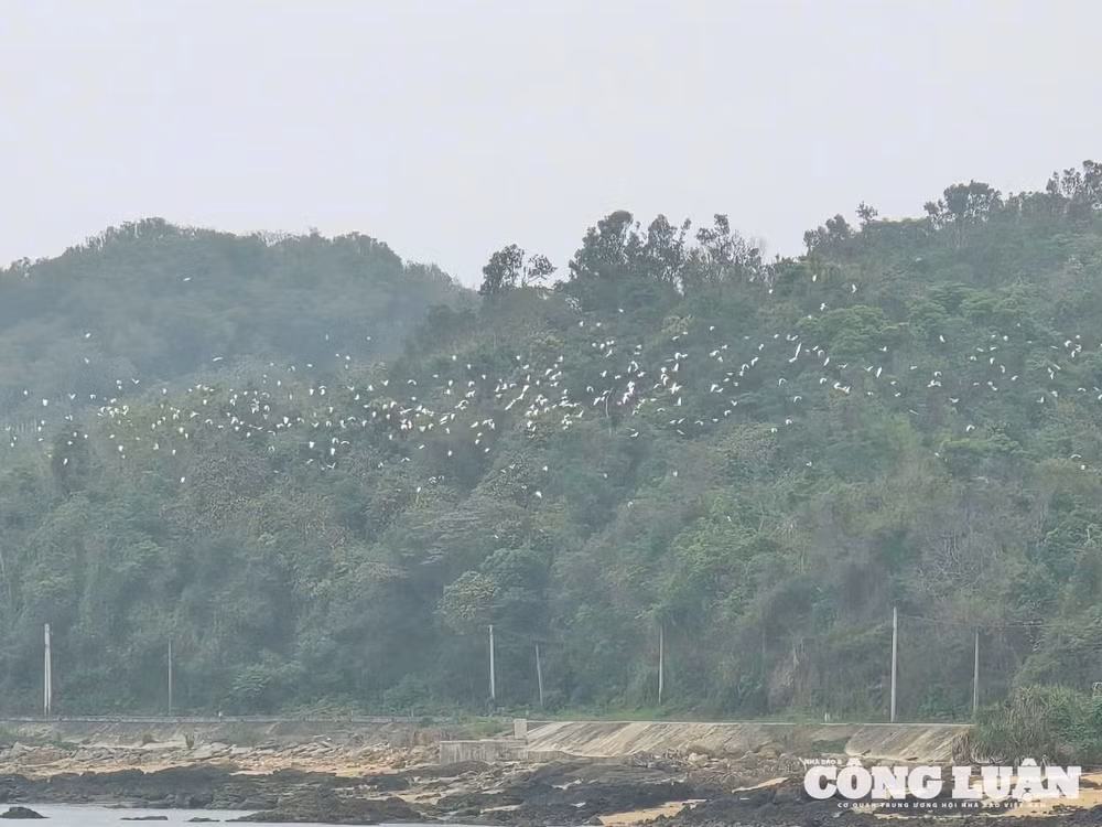 anh-5-co-to-noi-song-goi-mat-troi.jpg