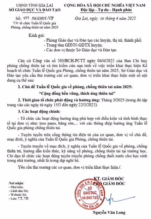 VB Gia Lai