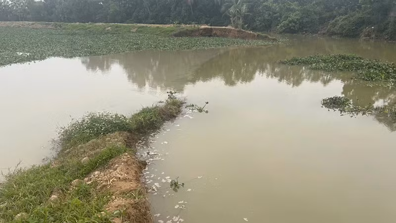 kênh sông Mơ