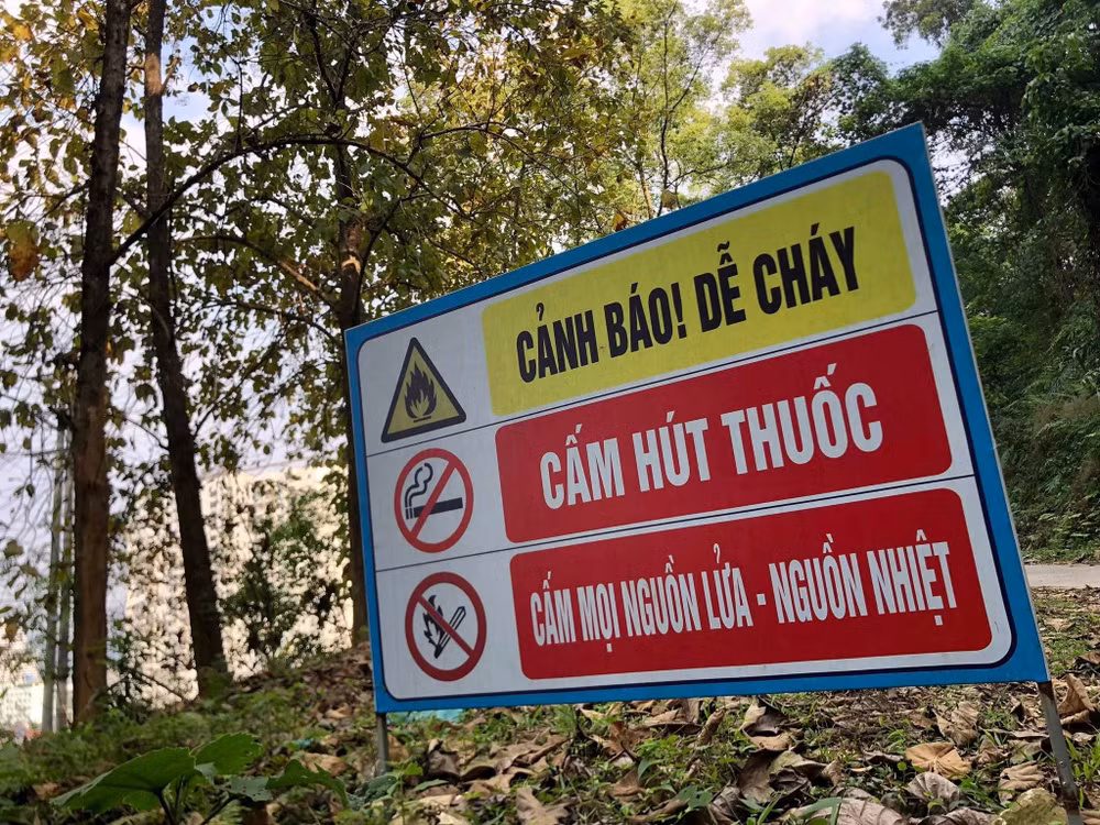 ảnh phòng cháy rừng Lào Cai