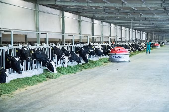 Dính tin đồn nguyên liệu sữa bột nhập khẩu, vốn hóa Vinamilk bị thổi bay hơn 5.500 tỷ đồng.