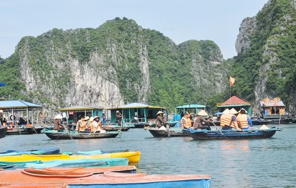 Từ 1/9/2019, Ban Quản lý vịnh Hạ Long sẽ kiểm tra các đơn vị cung cấp dịch vụ trên vịnh, không sử dụng đồ nhựa dùng một lần. Ảnh minh họa
