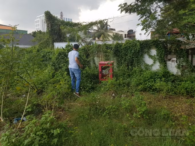 Hệ thống phòng cháy chữa cháy bị cỏ mọc um tùm che khuất và không thể sử dụng được nữa.