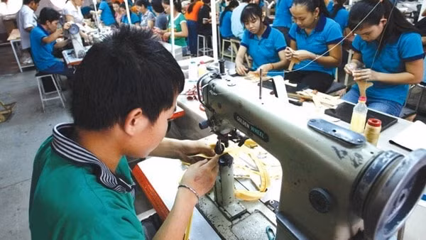 Doanh nghiệp có tổng doanh thu năm 2020 không quá 200 tỷ đồng sẽ được giảm thuế. Ảnh minh họa