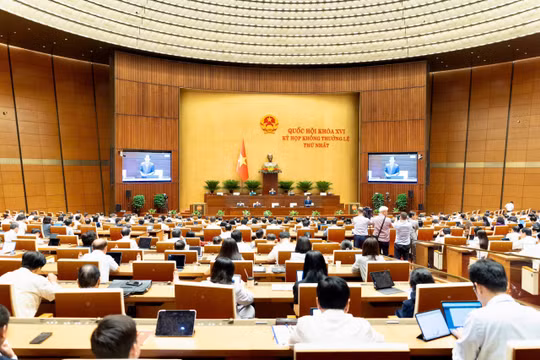 Bộ trưởng Bộ Tư pháp: Nghiêm cấm lợi dụng cơ chế đặc thù để hợp pháp hóa sai phạm
