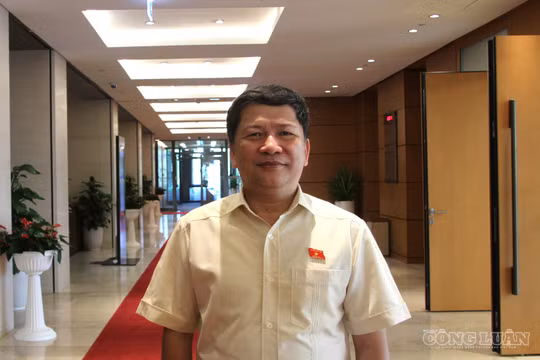 ĐBQH Tạ Văn Hạ: "Đô thị thông minh phải bắt đầu từ những nhu cầu rất gần dân"