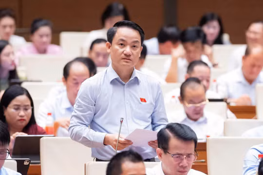 Đề nghị làm rõ trường hợp được sử dụng ngoại hối