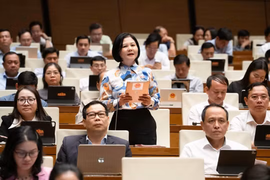 Đề nghị bổ sung người Việt Nam ở nước ngoài là đối tượng đặc thù trong phổ biến, giáo dục pháp luật