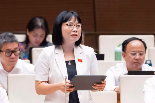 Cần làm rõ các quy định đối với ngành, nghề được bãi bỏ điều kiện kinh doanh