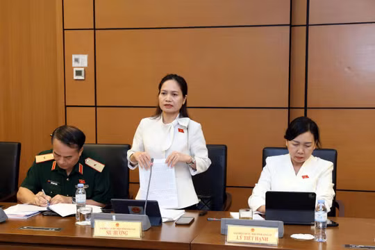 Cần quy định rõ việc số hóa, công khai các tài liệu pháp luật dưới dạng truyền thông hiện đại