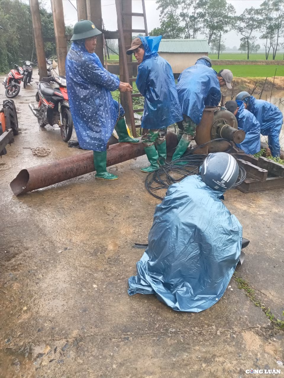 quang tri hon 2000 ha lua bi ngap ung do mua lon hinh 4