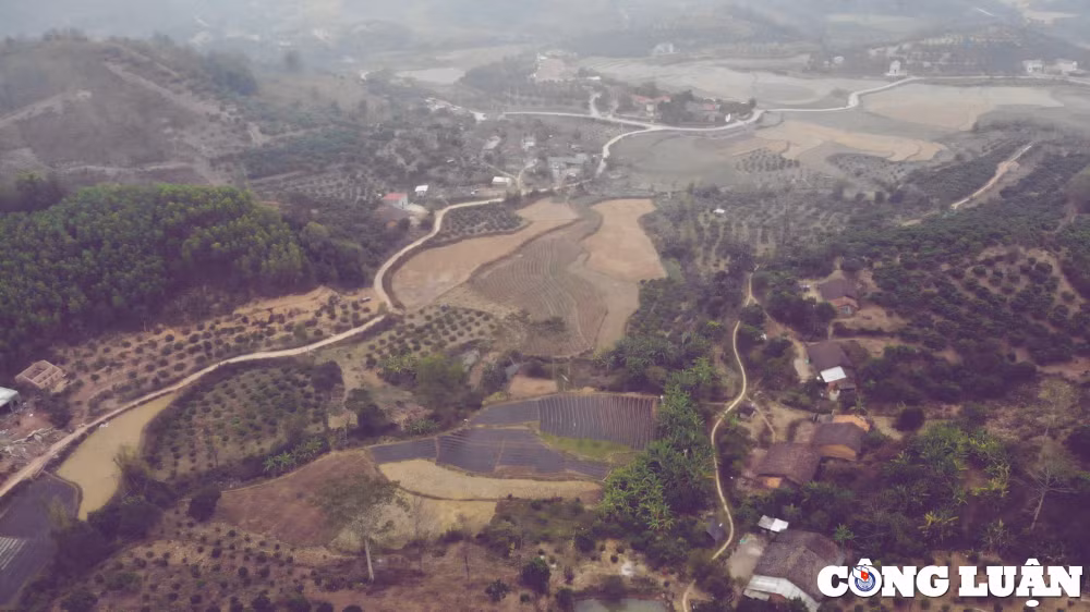 bac giang chiem nguong ve dep binh di nen tho cua ban bac hoa hinh 13