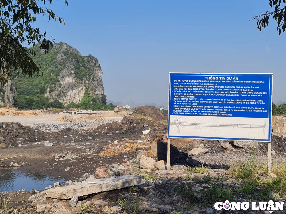 quang ninh 2 doanh nghiep lien tiep trung nhieu goi thau khung voi ty le tiet kiem sieu thap hinh 6