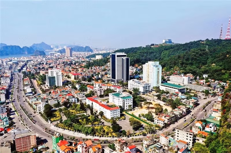 quang ninh 2 doanh nghiep lien tiep trung nhieu goi thau khung voi ty le tiet kiem sieu thap hinh 4