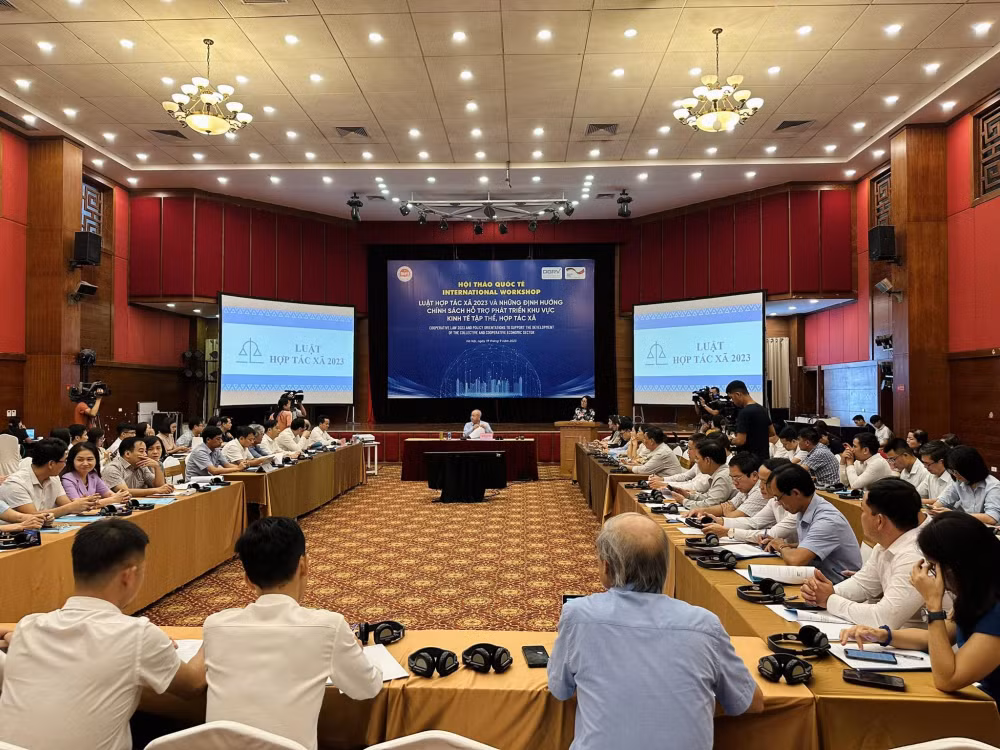 kinh te hop tac xa viet nam lieu co loi thoi va lac hau hinh 2