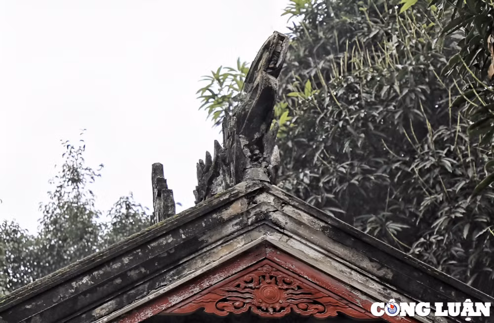 can trien khai tu bo khue van cac de ngan chan tinh trang xuong cap hinh 9