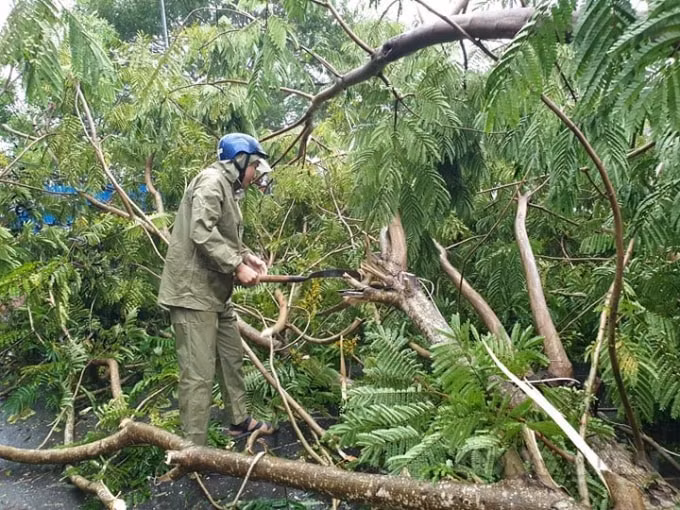 Đây là hình ảnh được ghi tại xã biển Tịnh Khê, thành phố Quảng Ngãi.
