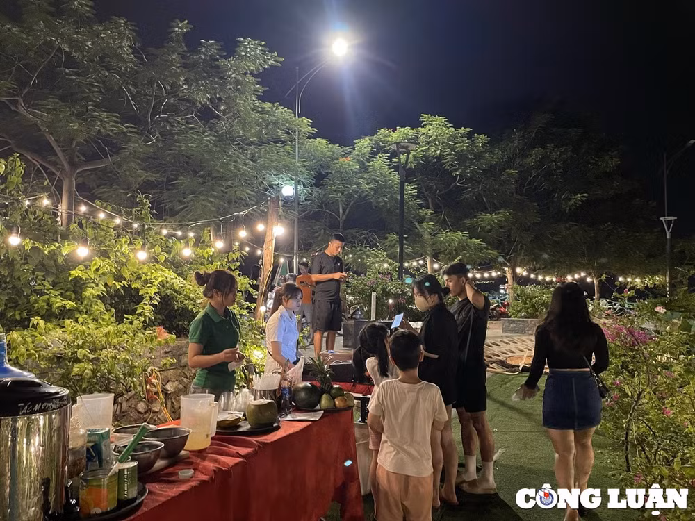 tay ho ha noi di chuyen hon 8 tan ca koi ra khoi ao dau dong de cho thue trong sen hinh 3