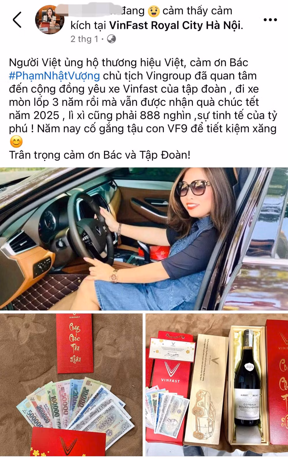 trao luu vinfast tri an tri an vinfast chiem song cong dong mang hinh 5