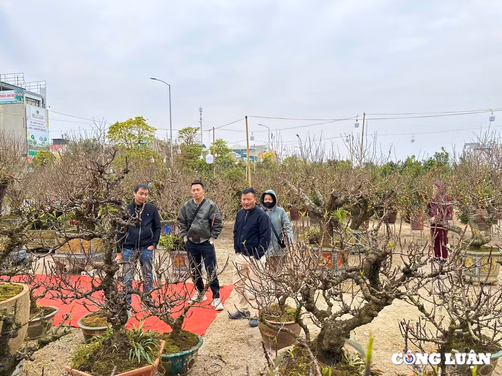 tp hai duong dao that thon hut khach dip tet nguyen dan at ty 2025 hinh 7