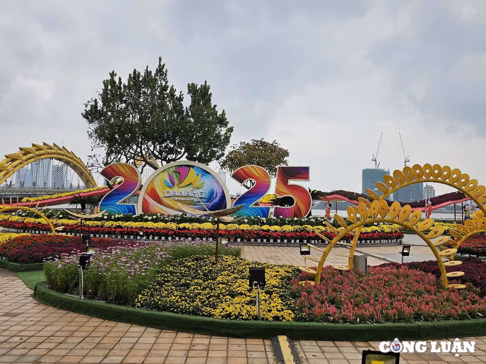chiem nguong linh vat ran tren duong hoa xuan da nang 2025 hinh 11
